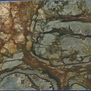 Sample of: Atlas 1St Choice - 148868-6