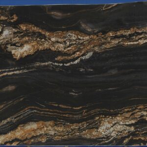 Sample of: Black Taurus 1St Choice - 153670-20