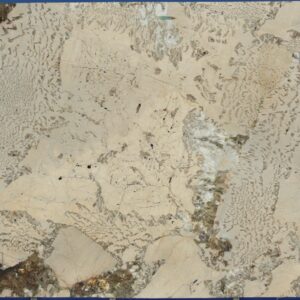 Sample of: Alpinus 1St Choice - 153453-1